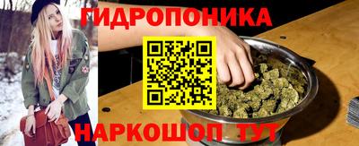 МДПВ Бийск