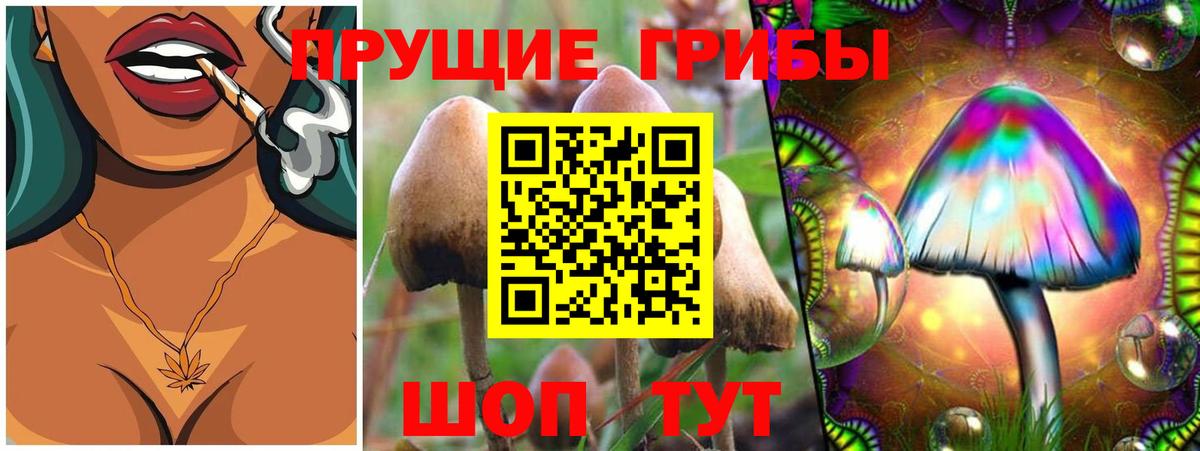 Галлюциногенные грибы мицелий  Вход с VPN  Ковров 